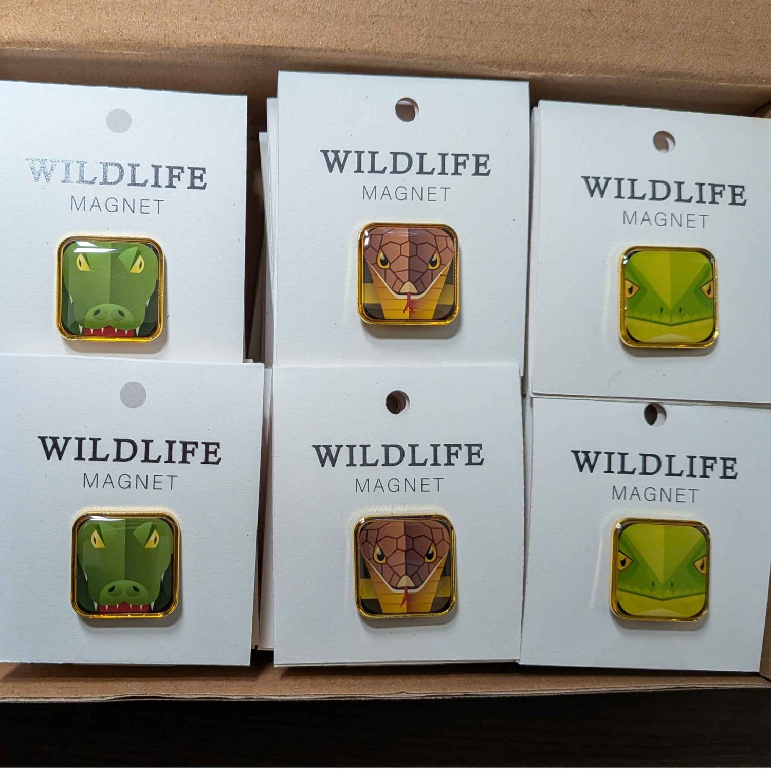 3 -Safari Animals Enamel Magnet set of 30- clear enamel over the image of a illustrated "Crocodile", "Cobra Snake", "Lizard", gold trim. These magnets are mounted on a Square white card.