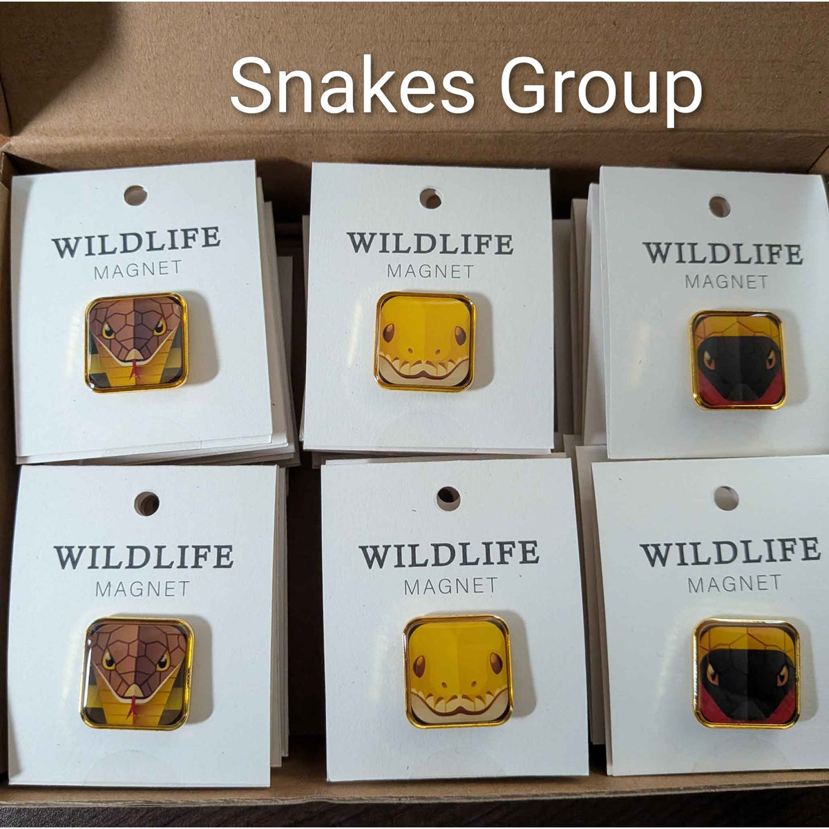 Wildlife Square Enamel Magnet Set — Case of 30