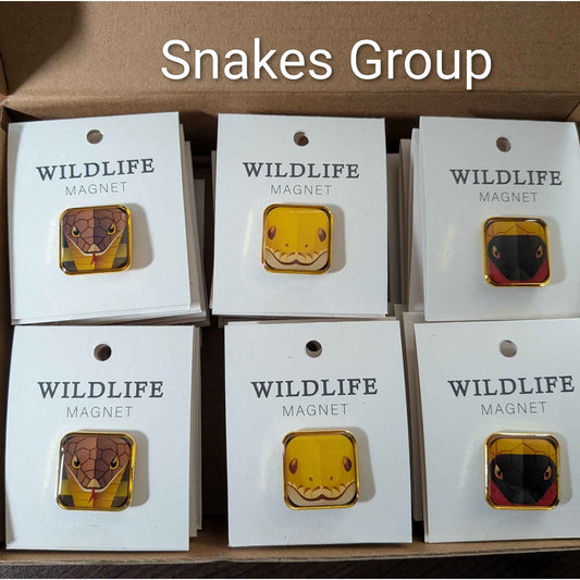 Wildlife Square Enamel Magnet Set — Case of 30