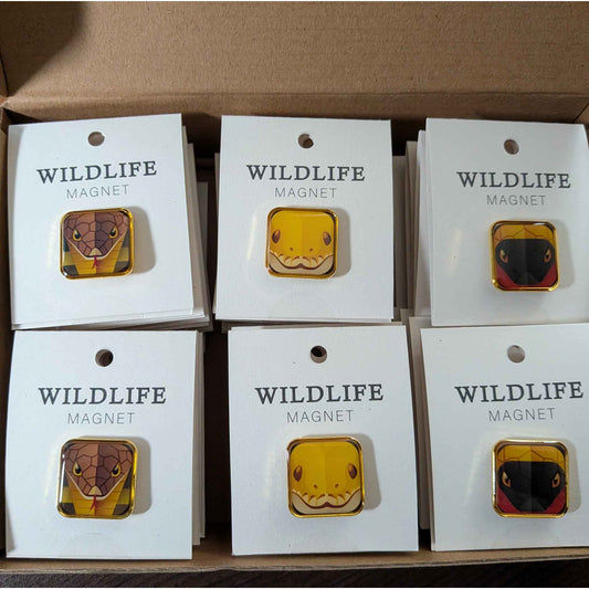 Wildlife Square Enamel Magnet Set / 30 units / $120