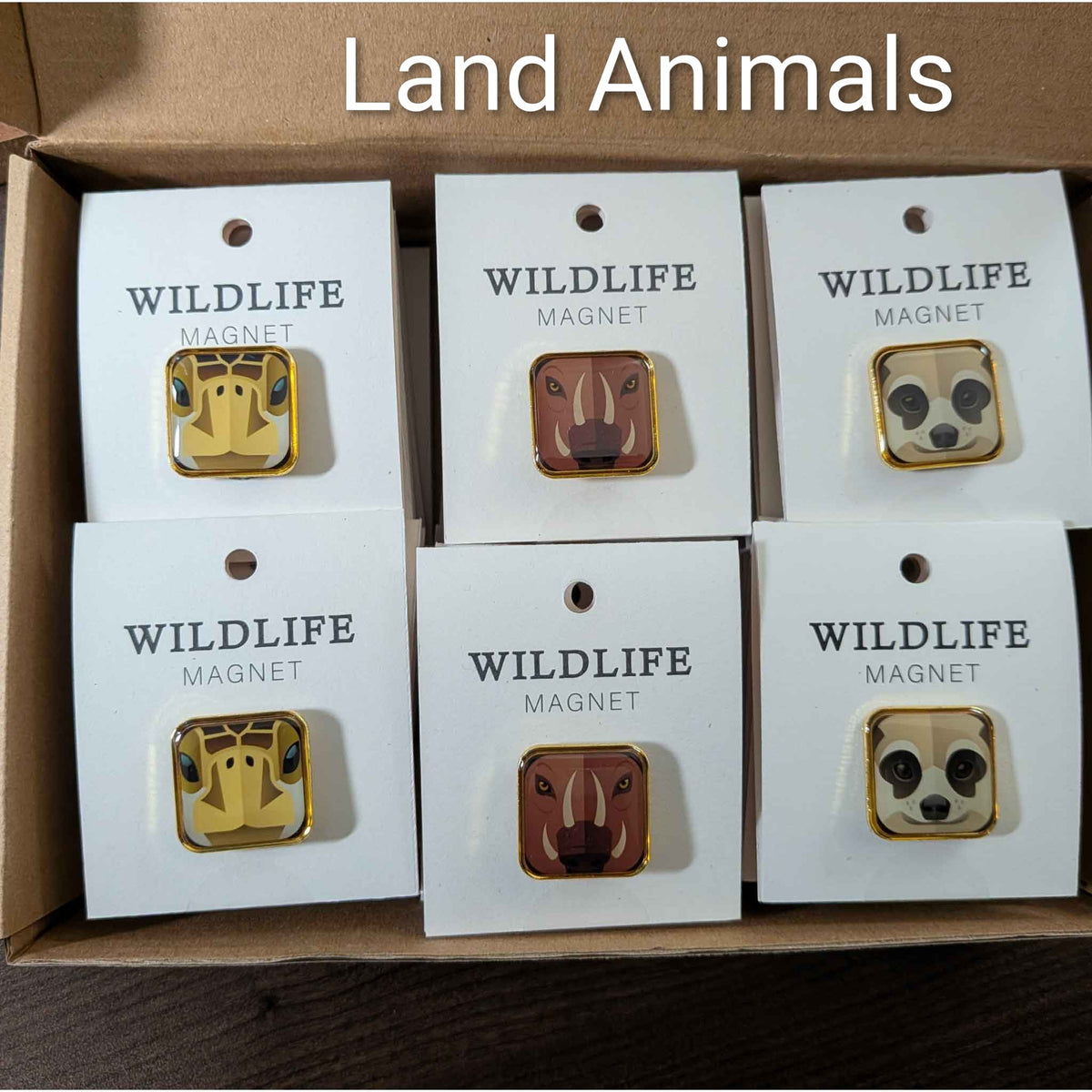 Wildlife Square Enamel Magnet Set — Case of 30