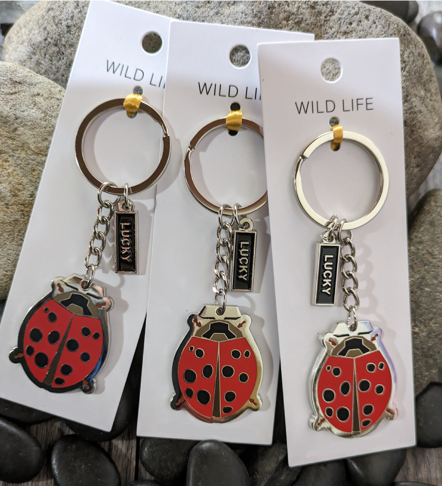 Butterfly, Dragonfly, Lady Bug Keychains / 15 units / $120