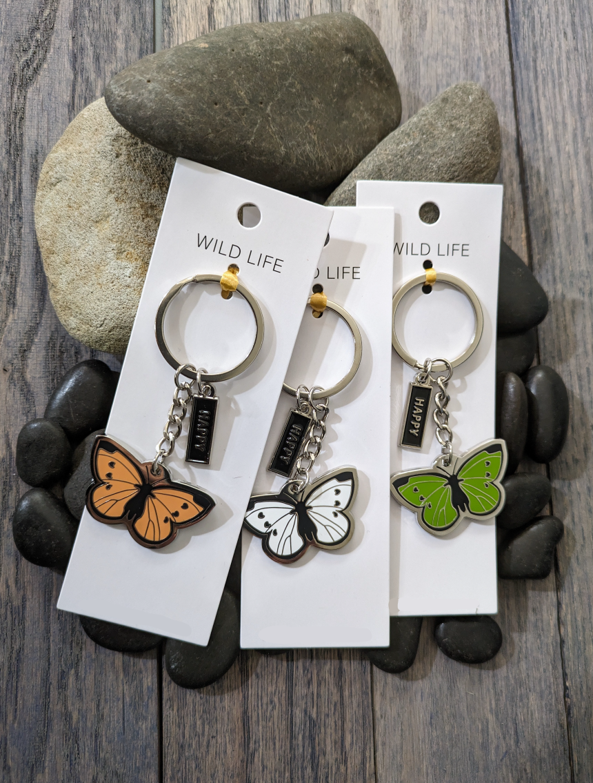 Butterfly, Dragonfly, Lady Bug Keychains / 15 units / $120