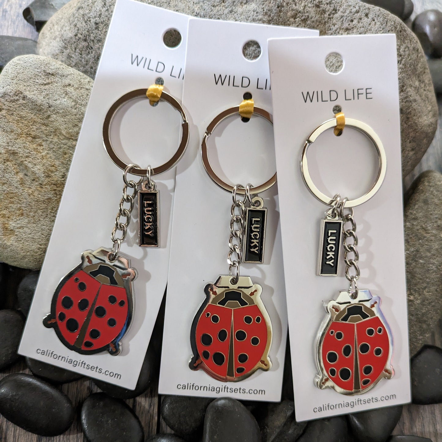 Quality Crafted Elegant -Silver Enamel Lady Bug Keychains in Red with black spots. Each Keychain comes with an additional enamel hanging Tag with the word LUCKY.
Each Key chain is mounted on sturdy 1.75" x 5" Pure White Card for a beautiful display.