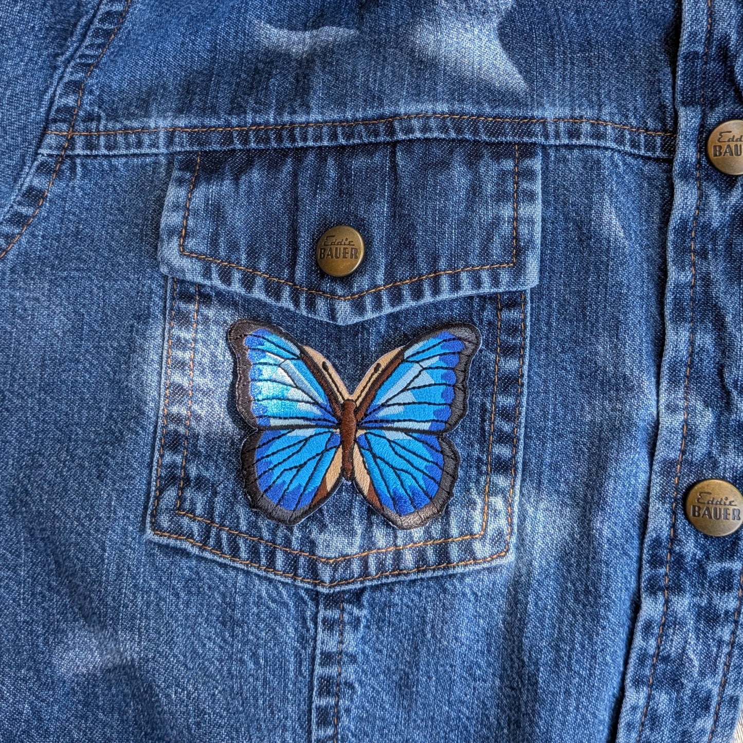 Blue Morpho Butterfly Iron-On Patch — Pack of 6
