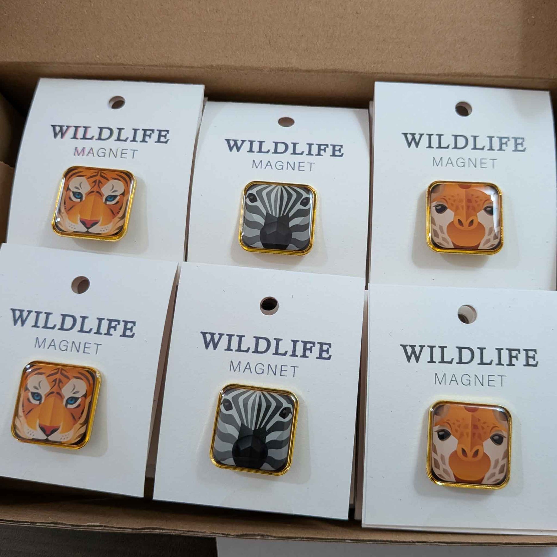 3 -Safari Animals Enamel Magnet set of 30- clear enamel over the image of a illustrated "Tiger", "Zebra", "Giraffe", gold trim. These magnets are mounted on a Square white card.r