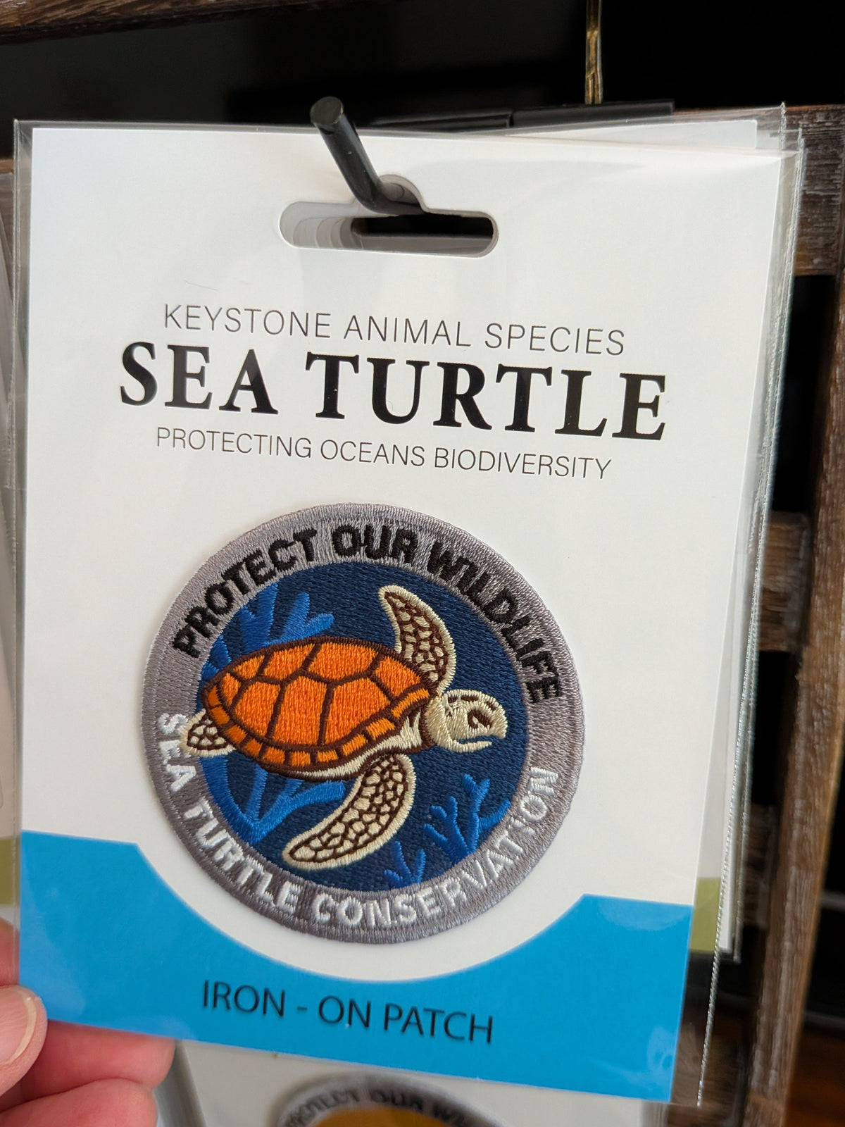 Sea Turtle Conservation Iron-On Patch, Eco-Friendly — Pack of 6