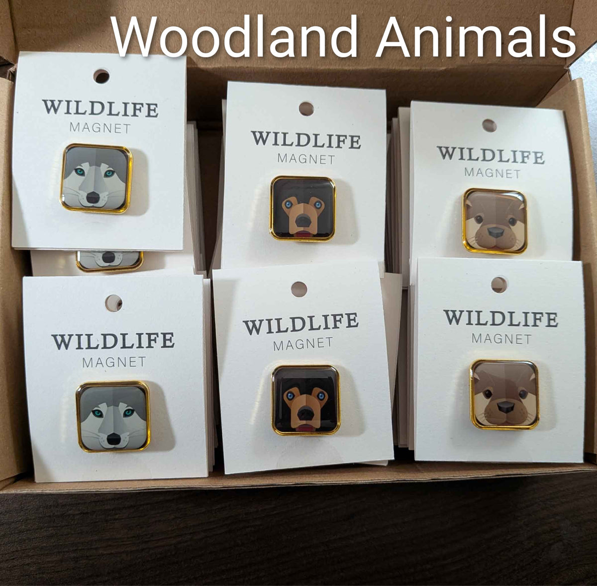 Wildlife Square Enamel Magnet Set — Case of 30
